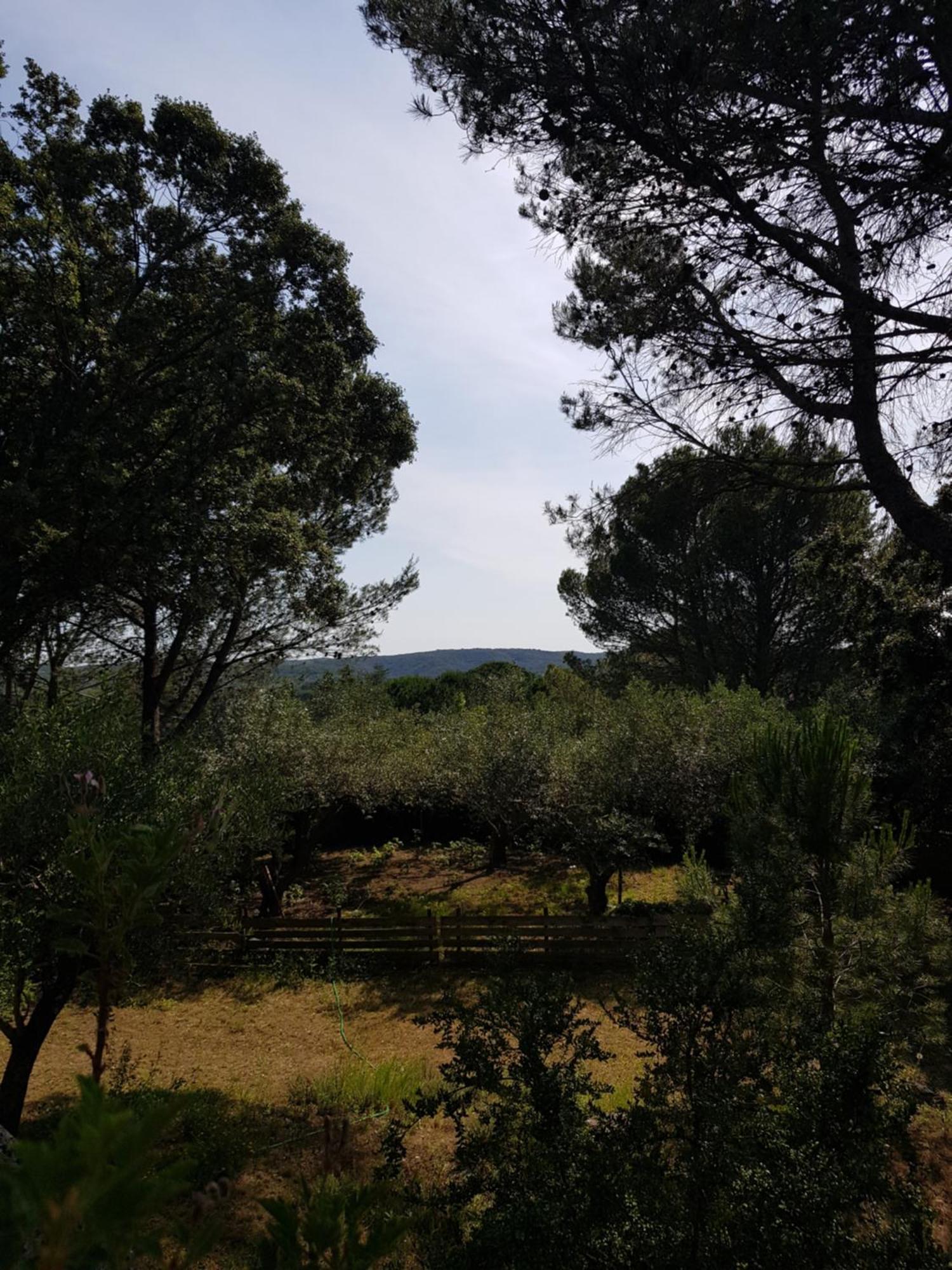 Maison Au Calme Castillon-du-Gard Eksteriør billede